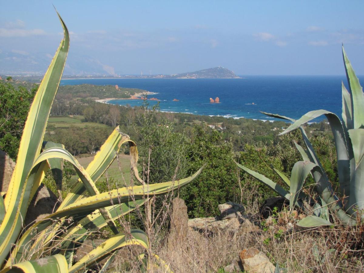 바리사르도 Estate In Ogliastra Sa Figumoru 5 Minuti Al Mare 아파트 외부 사진